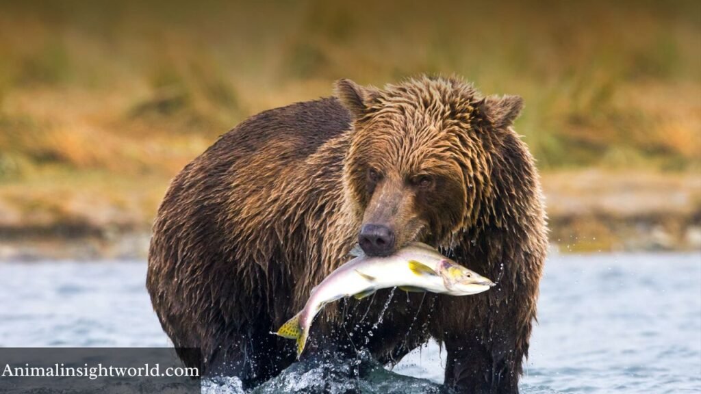 which animal eats the most