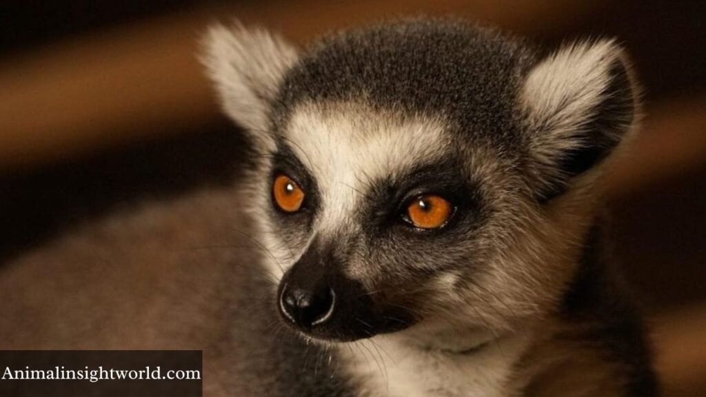 animals that have red eyes