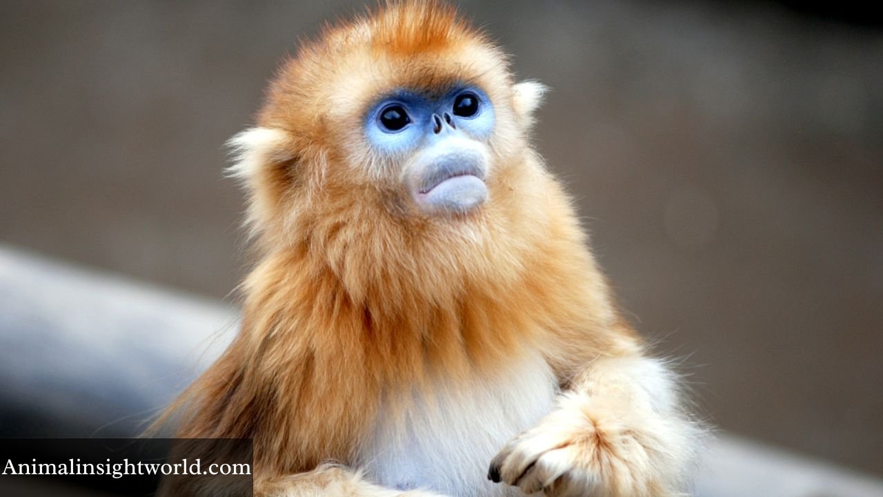 animals that live in bamboo forests